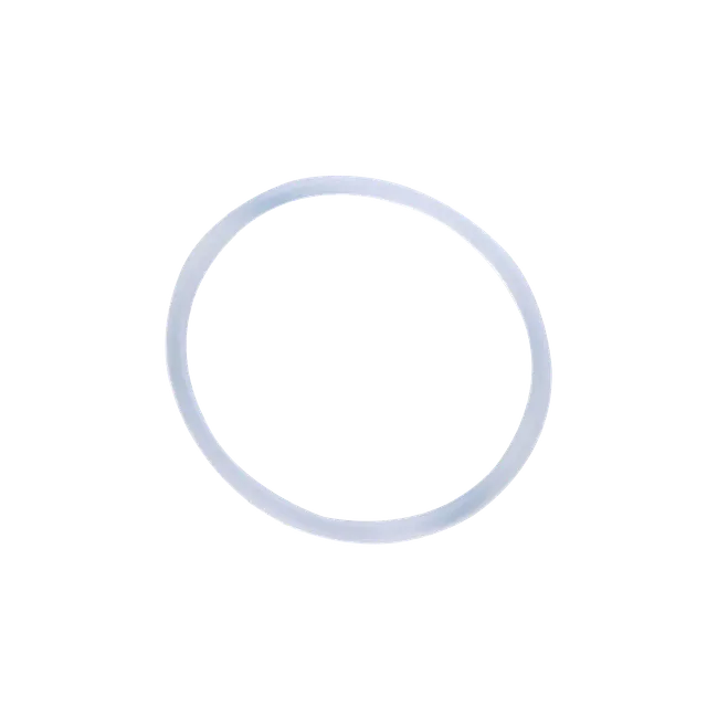 klean-kanteen-tkwide-dichtring-f-r-tkwide-caps image 1